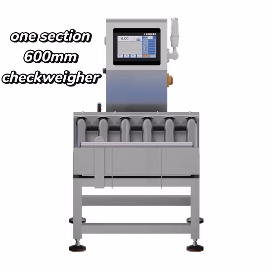 Check Weigher- for Food Packaging