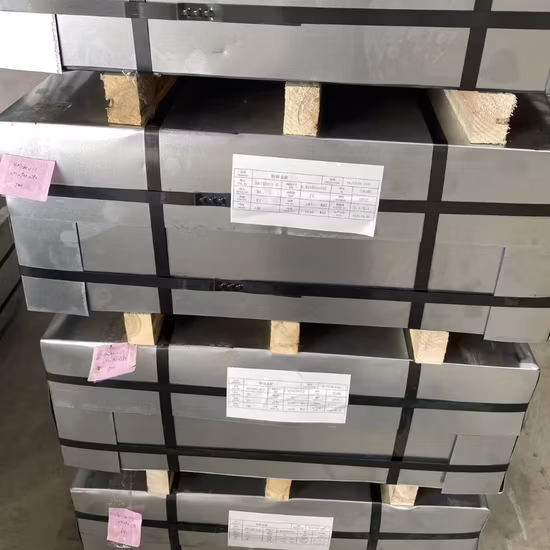 식품 등급 전해질 2.8/2.8 T3 T4 T5 ETP 생철판 시트